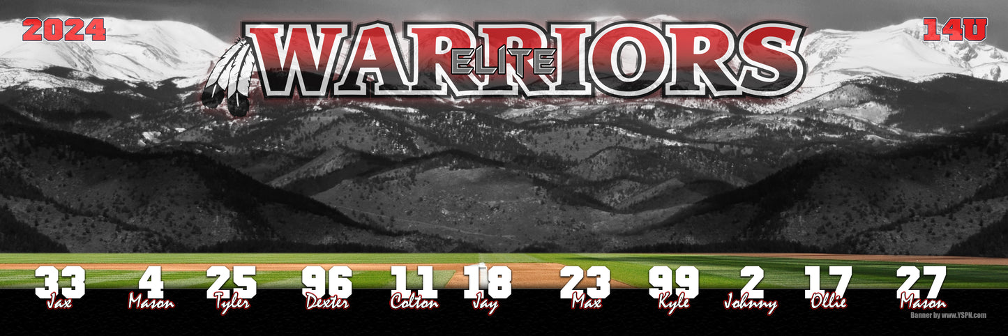 3ft x 9ft Team Banner