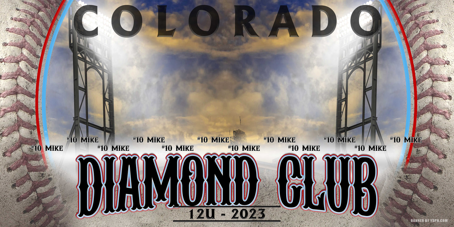 4ft x 8ft Team Banner