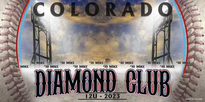 4ft x 8ft Team Banner