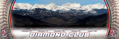 3ft x 9ft Team Banner