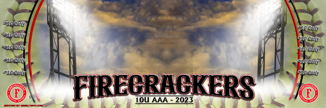 3ft x 9ft Team Banner