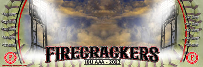 3ft x 9ft Team Banner